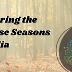 seasons of india